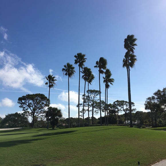 Meet your Posher, Taylor - Picture 1 of 1